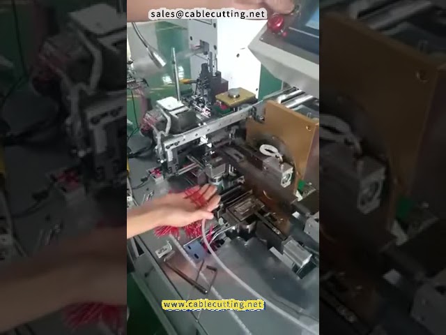 Machine à étamer automatique double tête - Modèle 2