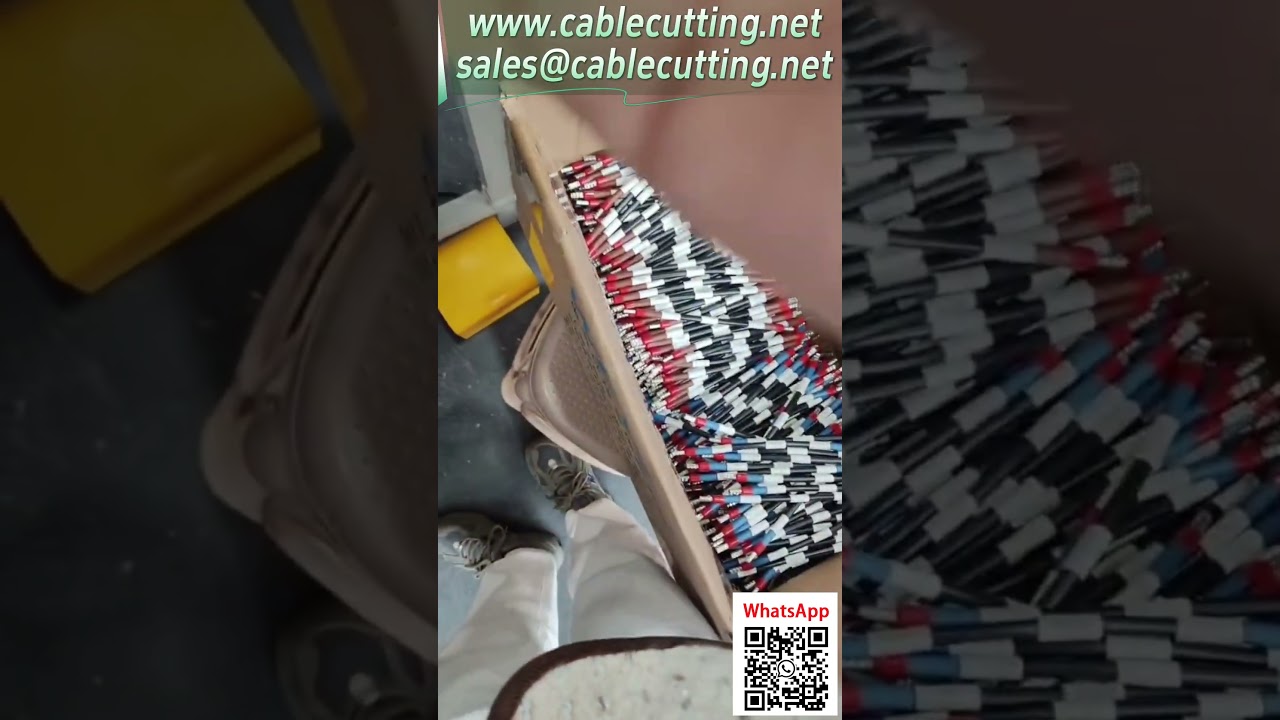 Machine à sertir les bornes électriques – Sertissage efficace des cosses #AutomatisationIndustrielle #FabricationIntelligente