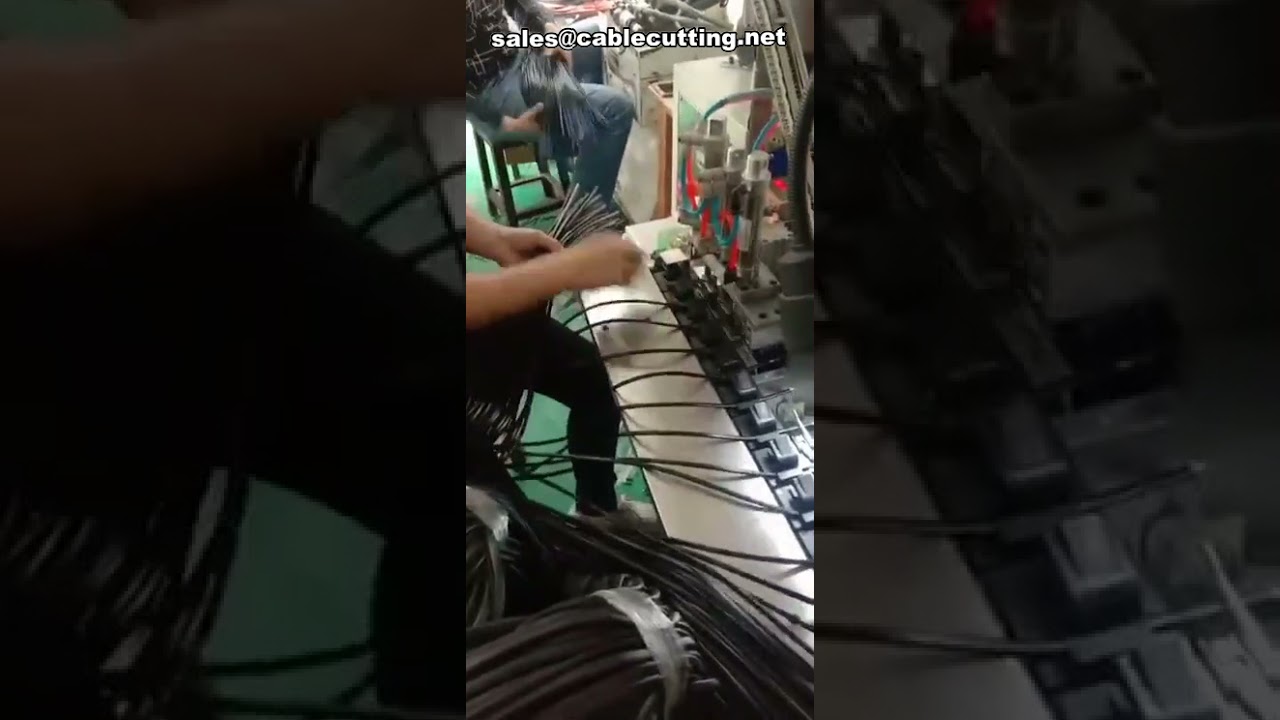 Machine à sertir automatique pour fiches à deux broches et connecteurs plastiques - Sertissage de précision