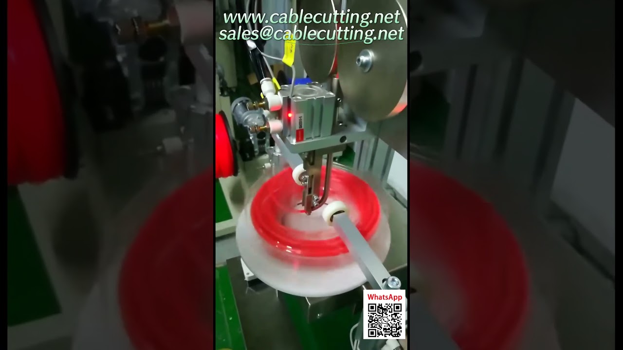 Machine automatique d'enroulement sous blister pour bobine verticale de fil de coupe