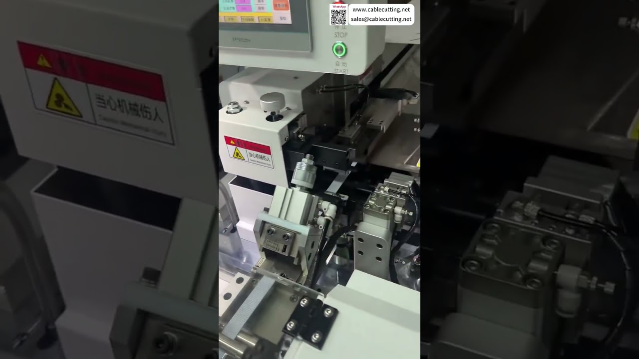 Machine à ruban bicéphale automatique – Prête à expédier (version courte)