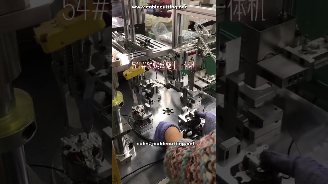 Machine de vissage spécialisée pour moteurs – Compatible multi-modèles et alimentateur de vis long