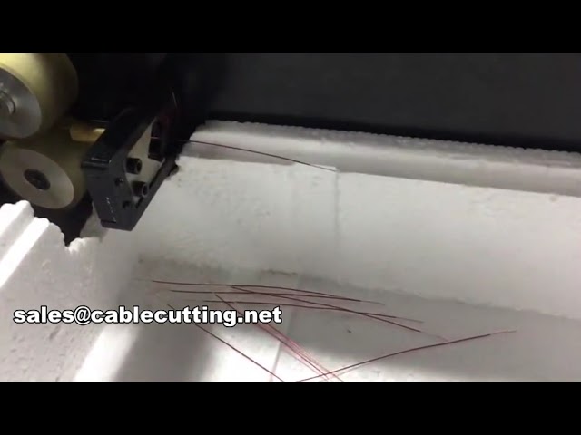 Machine de coupe et dénudage de fil magnétique WPM-0525 - Précision et automatisation