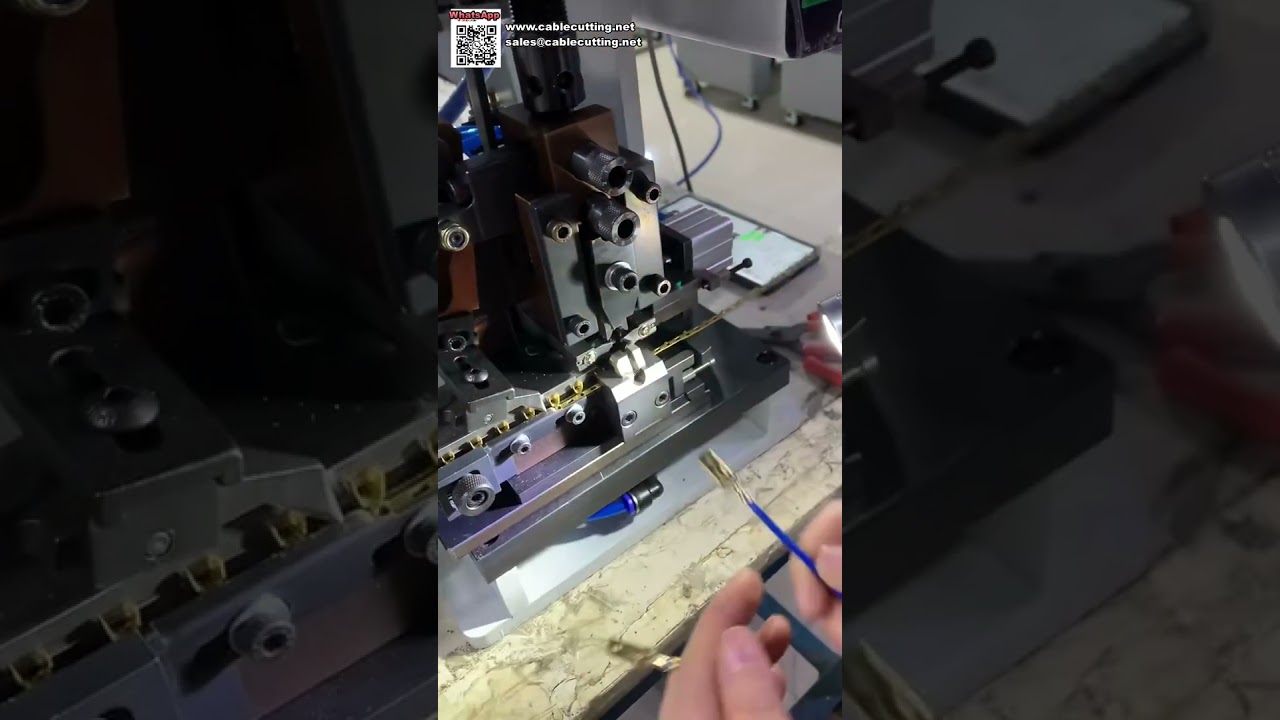 Machine de dénudage et de sertissage de fil unique de précision, stable pour diverses exigences de faisceaux