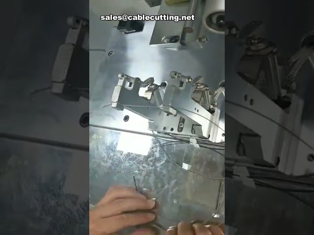 Machine d'étiquetage demi-pliante pour câbles et tubes plastiques - Idéale pour bornes moteurs auto