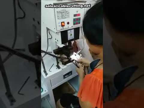 Machine de sertissage de bornes à 2 broches : précision et automatisation
